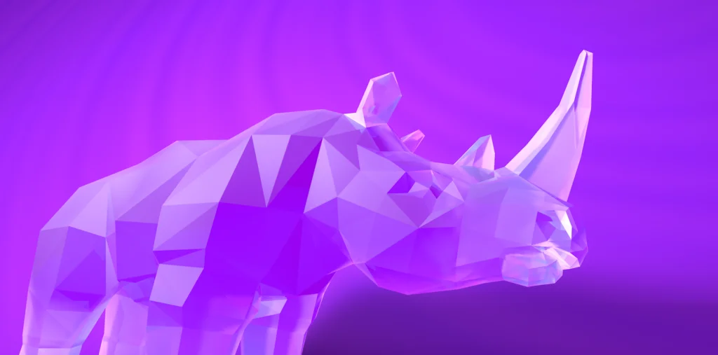 Lucid Rhino Web Design